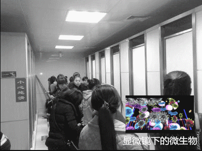 景區&商場&酒店&寫字樓公用衛生間異味大，潔匠凈化有妙招！
