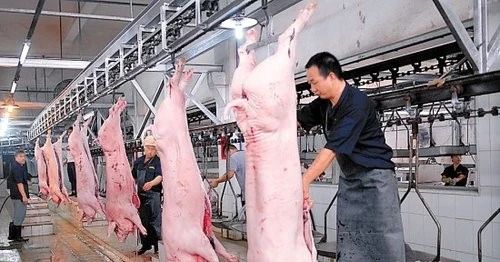 屠宰場臭氣影響周邊環境？解決辦法在這里.jpg